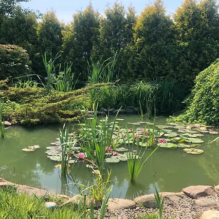 Hébergement de vacances Comfortable On Jamno, Podamirowo