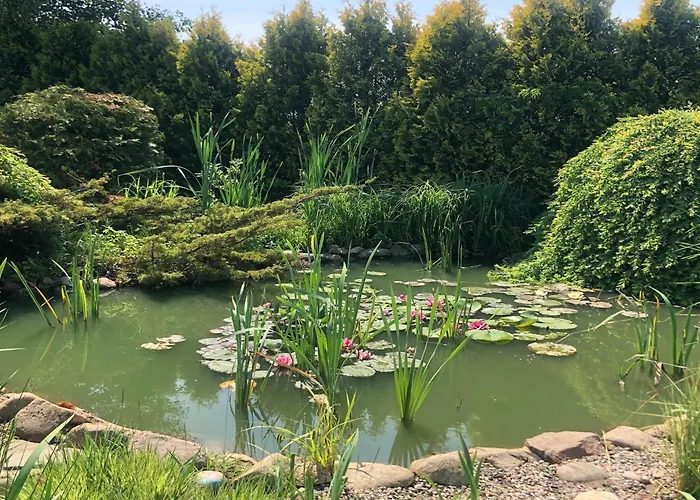 Comfortable On Jamno, Podamirowo